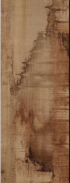 Pero Oak swatch