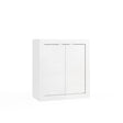 Selene 2 Door White Gloss Bathroom Storage Cabinet - FurniComp