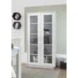 Glacia 2 Door White Gloss Glass Display Cabinet - FurniComp