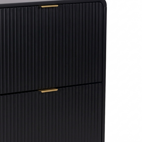 Lottie 2 Tier Slim 12 Pair Shoe Cabinet - Black - FurniComp