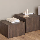 Oxford Set of 2 Square Coffee Table - Smoked Ash - FurniComp