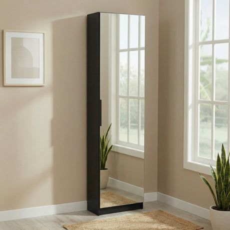 Reflex Matt Black Tall Mirrored Shoe Cabinet - FurniComp