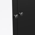 Rowan 100cm 2 Door 2 Drawer Mirrored Wardrobe-Black - FurniComp
