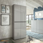 Vida 4 Door 80cm Grey Gloss Tall Shoe Cabinet/Storage Cupboard - FurniComp