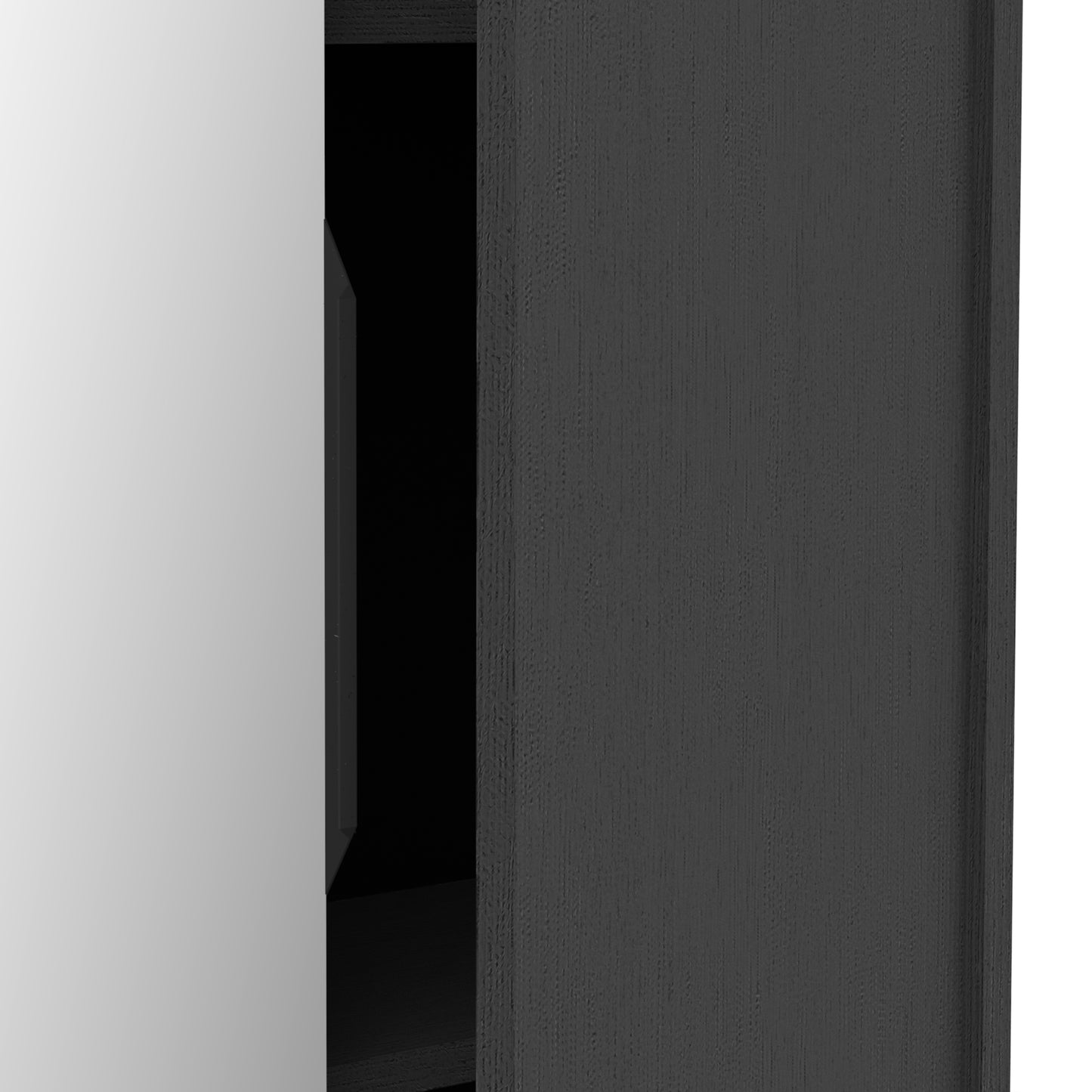 Zurich 2 Door Black Large Tall Mirrored Shoe Storage Cabinet - FurniComp