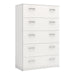 Best 5 Drawers White Chest of Drawer - FurniComp