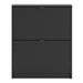 Function 2 Tilting Door Black Shoe Cabinet - FurniComp