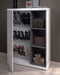 Phoenix White and Grey Shoe Cabinet with Mirror - FurniComp