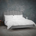 Rose Silver Velvet Fabric Bed Frame - FurniComp