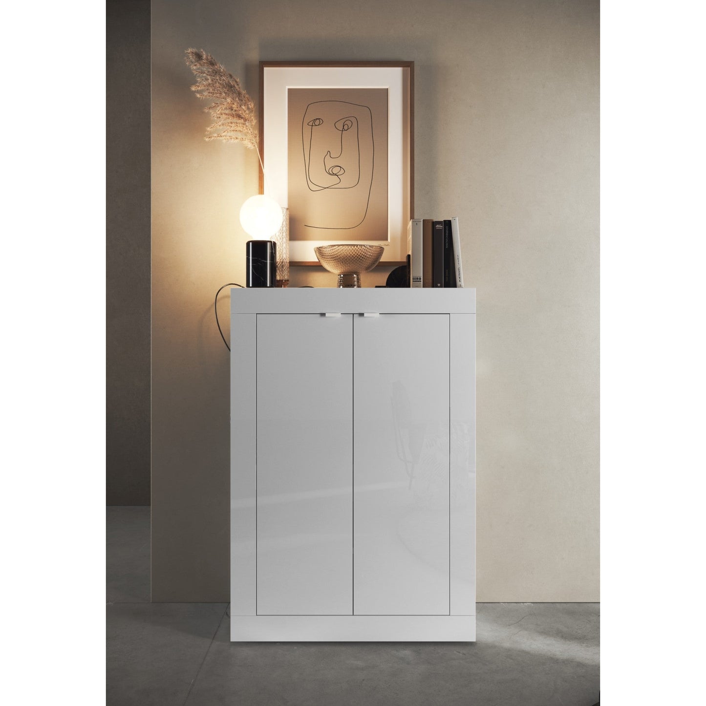 Selene 2 Door Large White Gloss Shoe Storage Cabinet - FurniComp